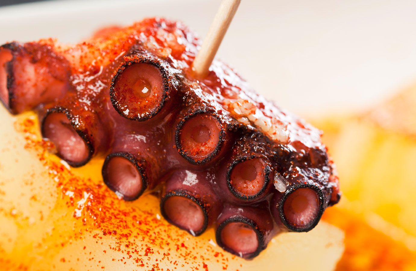 Octopus with Potato and Paprika