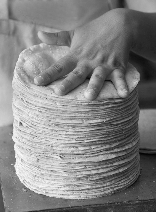 Tortilla - Eric Futran