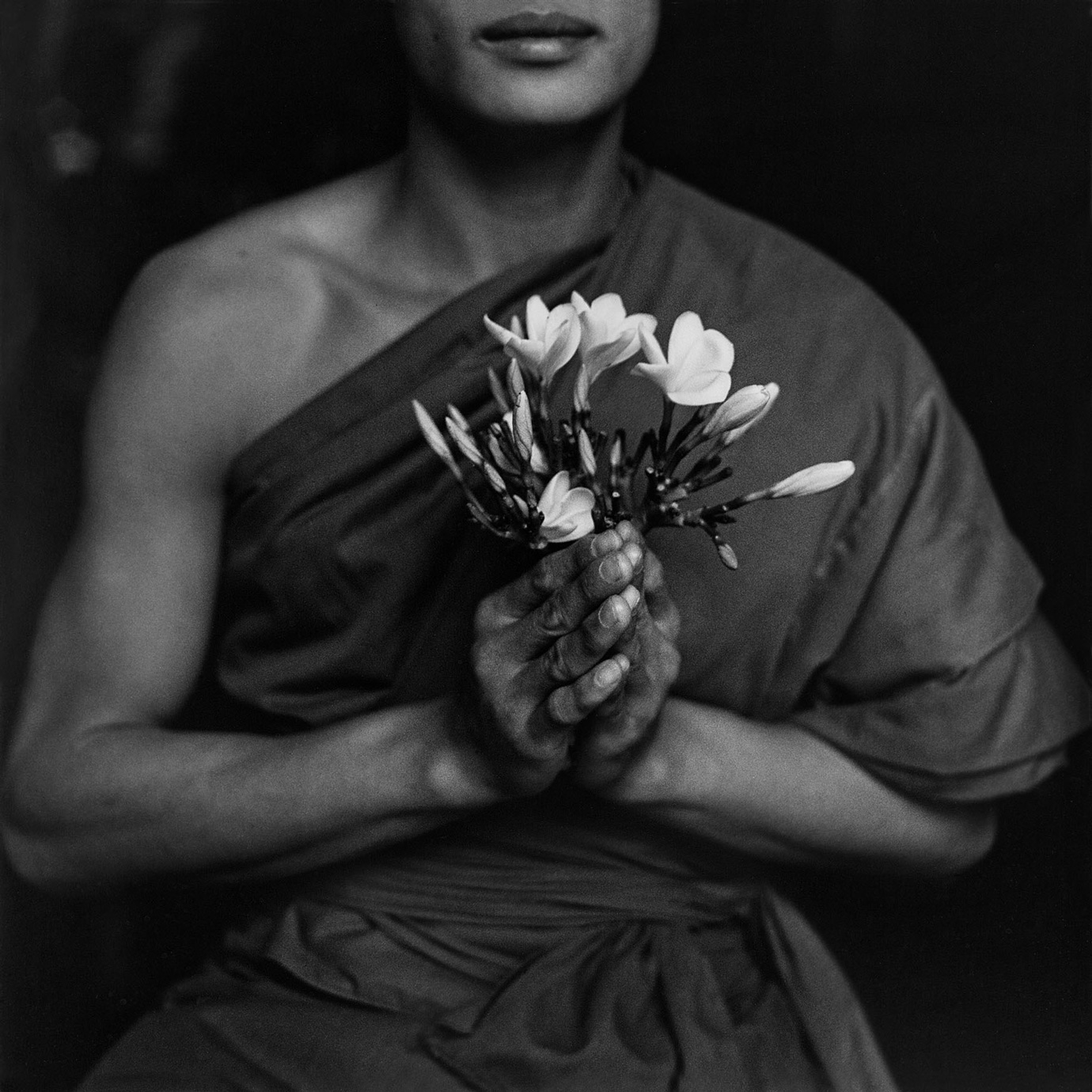 Flower Offering to the Buddha