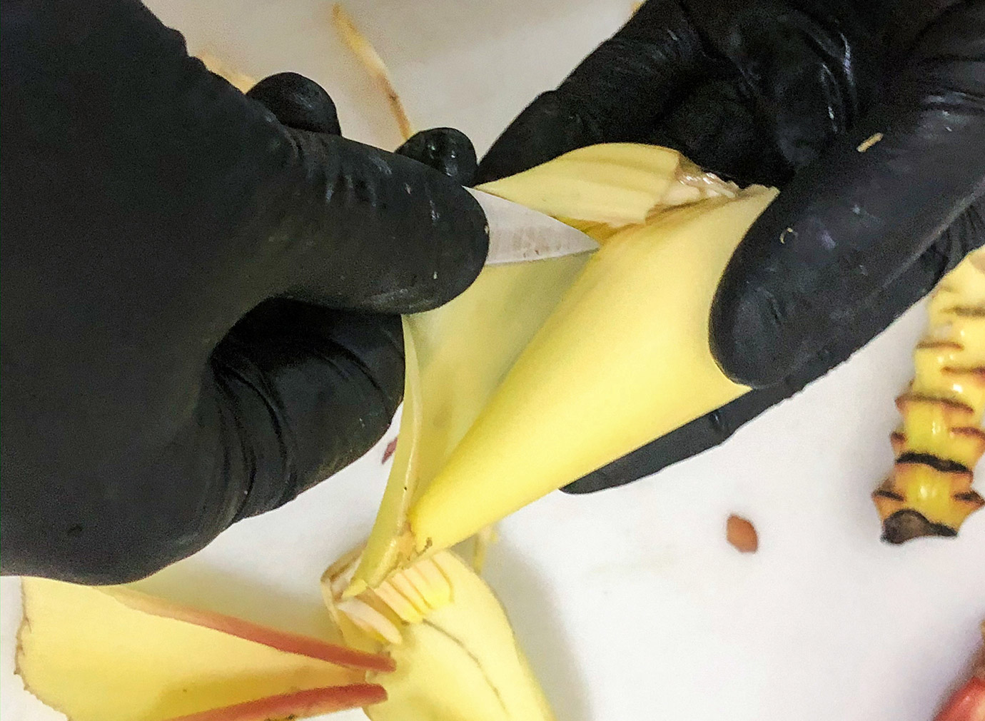 Edible Center of Banana