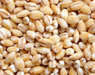 Barley Risotto