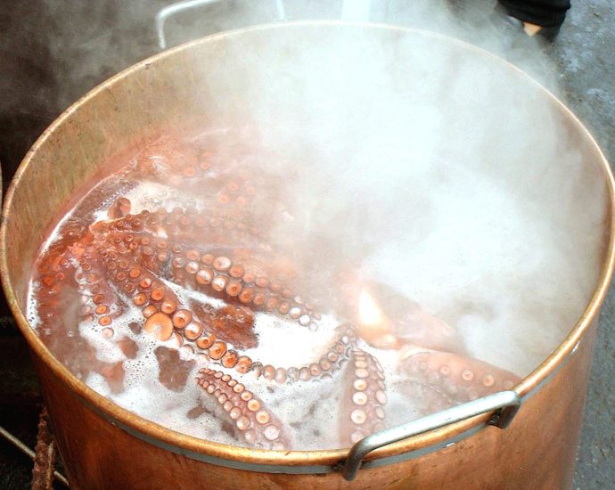 How To Cook Octopus