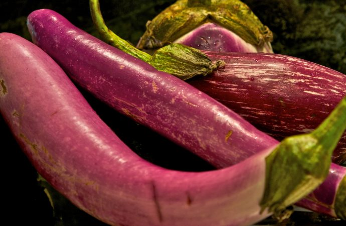 Chinese Eggplant