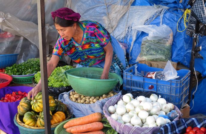 Guatemala Garlic