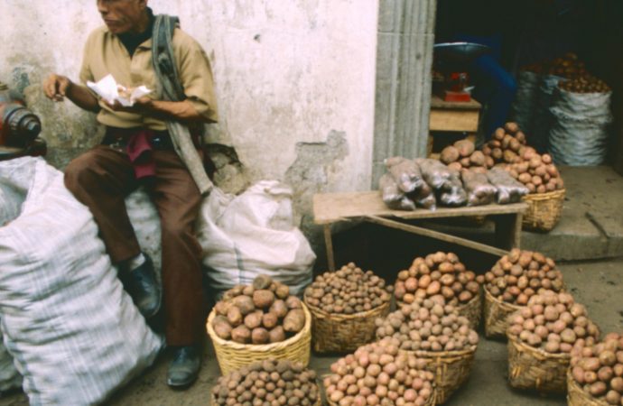 Guatemala potatoes
