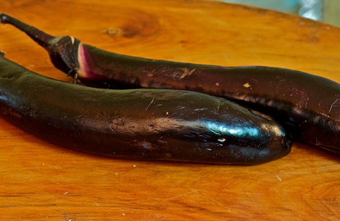 Japanese Eggplant