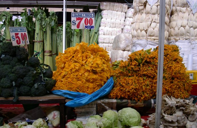 Mexico - Squash Blossoms