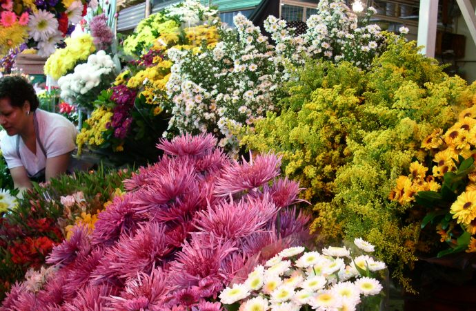 Mexico - Flower Stand