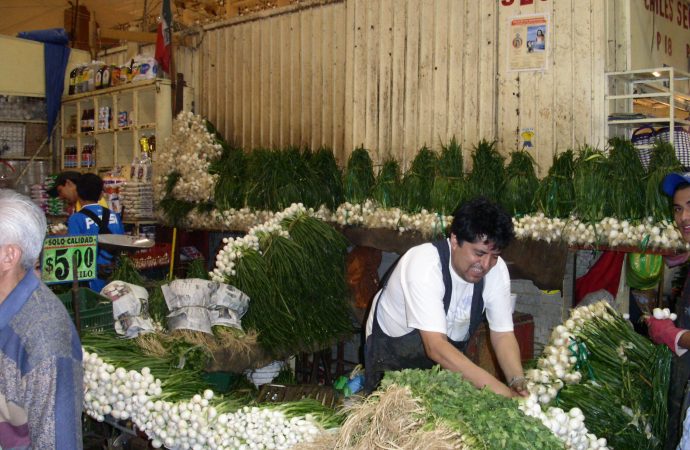 Mexico - Onions