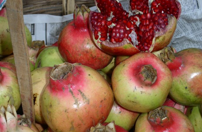 Mexico - Pomegranate