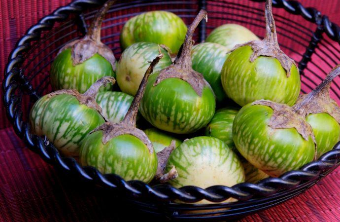 Thai eggplants