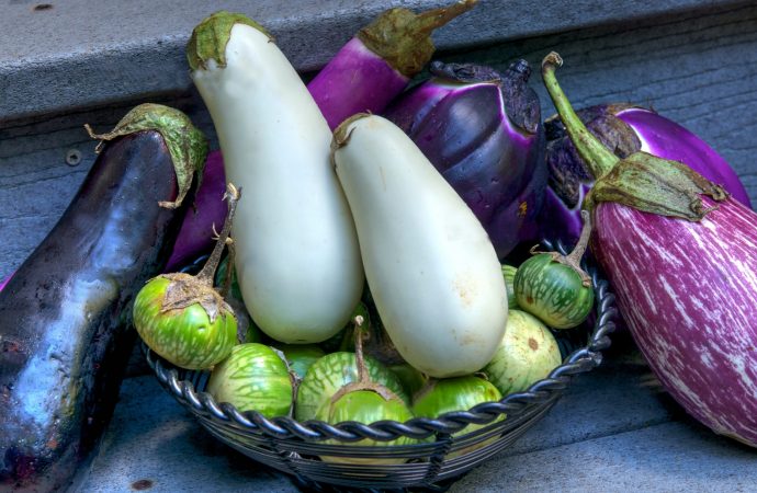 White eggplants