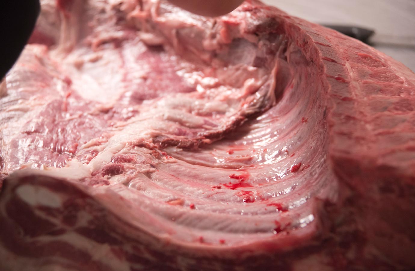Louisa Farhat Pork Primal