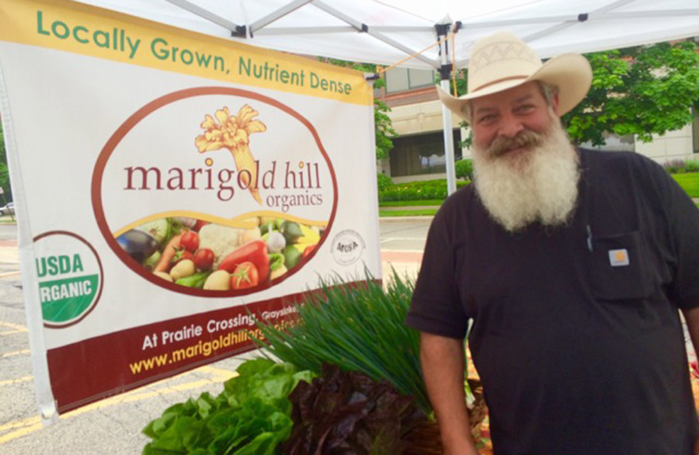 Marigold Hill Organics Farm 4