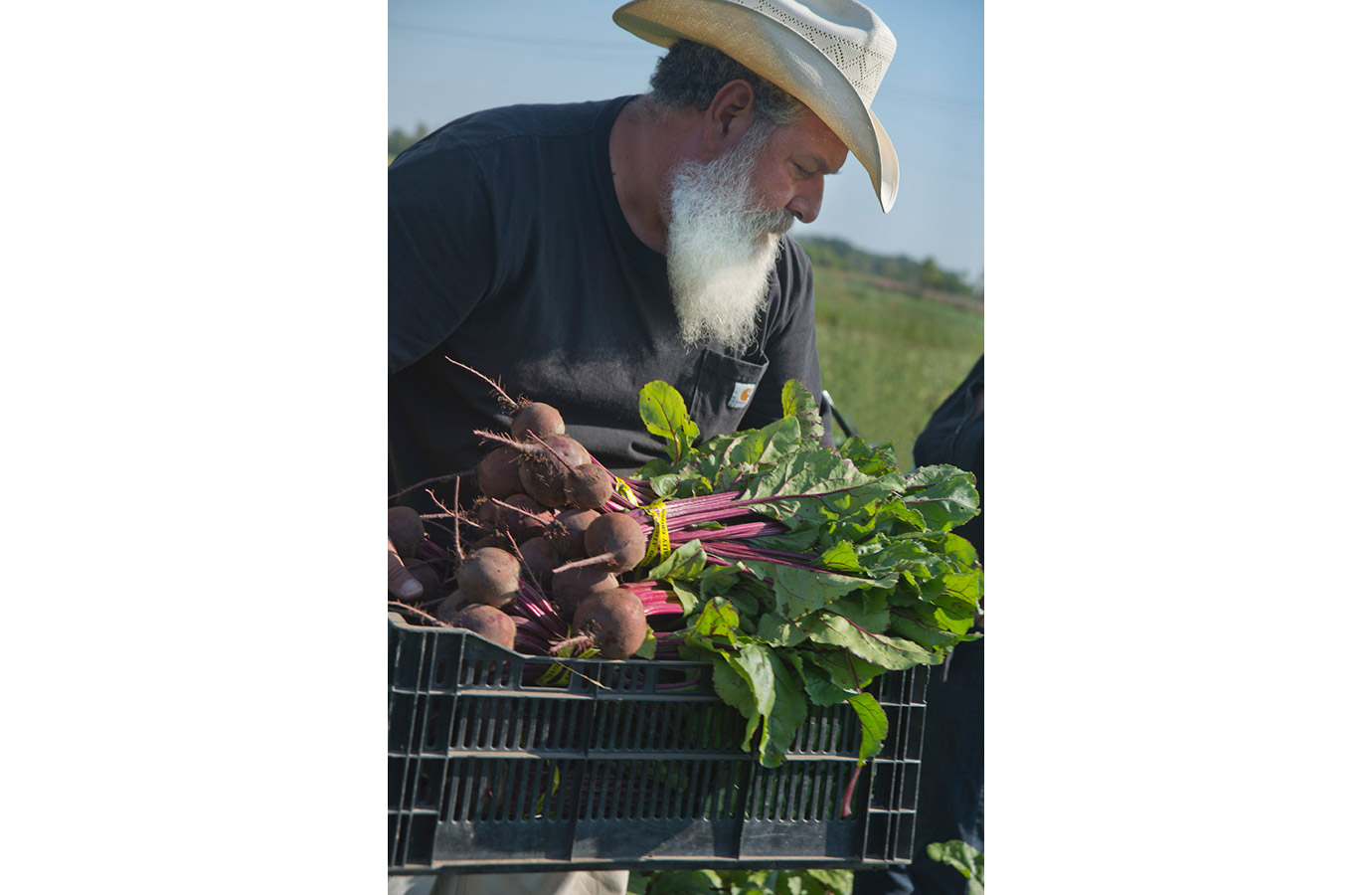 Marigold Hill Organics Farm 5
