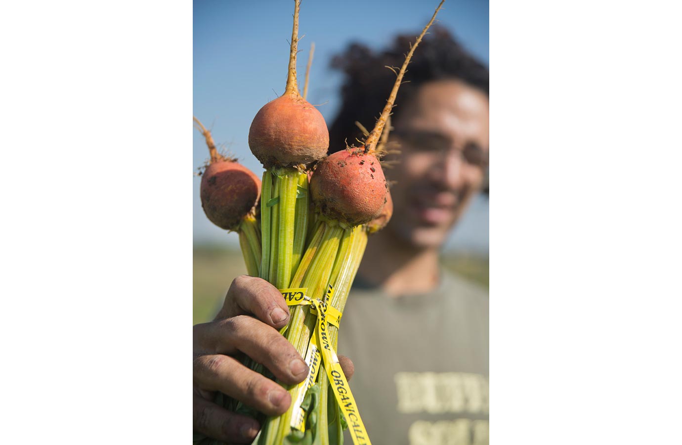 Marigold Hill Organics Farm 7