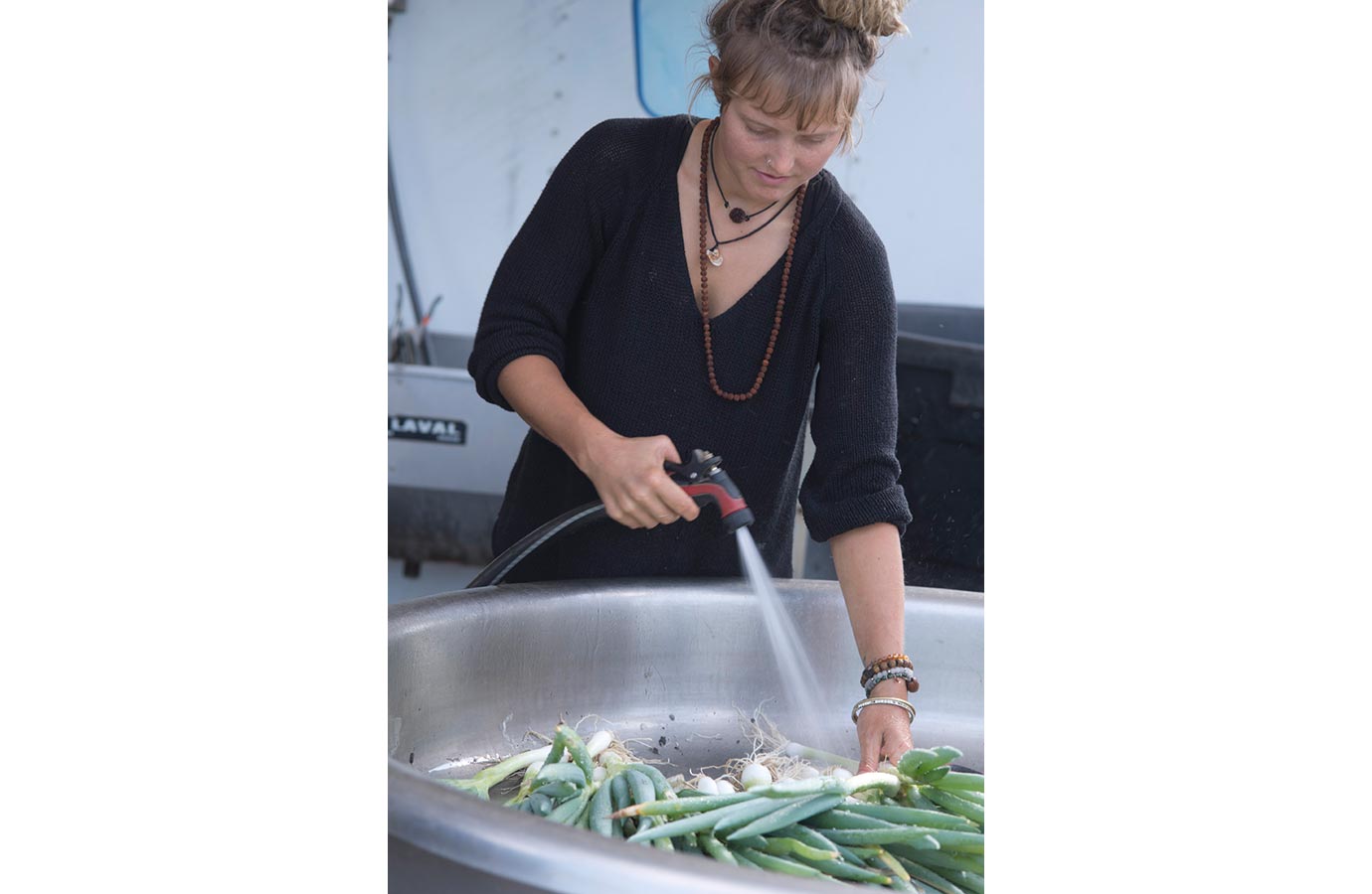 Marigold Hill Organics Farm 9