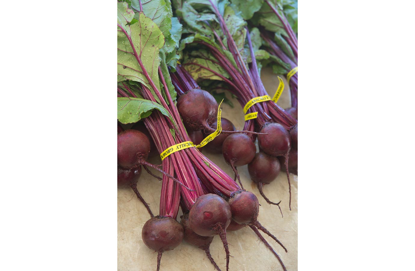 Marigold Hill Organics Produce 7